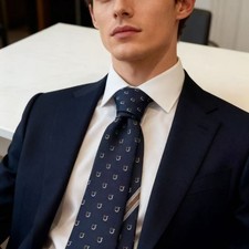 Ferragamo tie NWT with Authentic Box