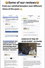 ✳️10 X Mixed Hen/Chicken