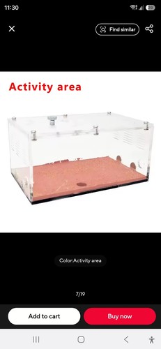 Acrylic ant farm - acrylic,