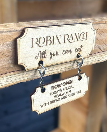 Bespoke bird table - bird, sign,