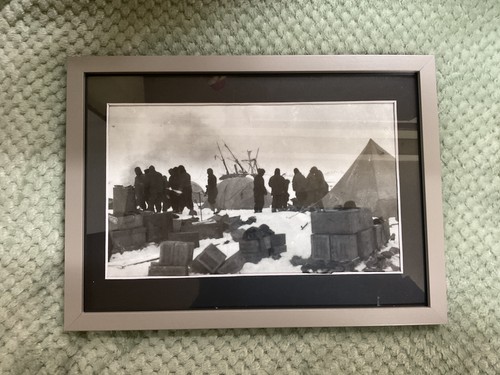 Ernest shackleton the - shackleton,,