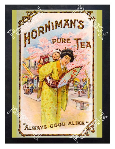 Historic horniman pure - horniman's, tea