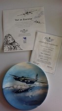 Coalport War Plane Plate : Out