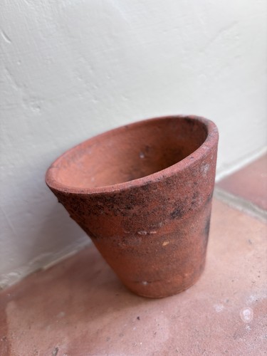 Vintage terracotta plant - terracotta, pot