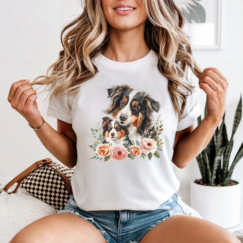 Australian shepherd dog - shepherd,