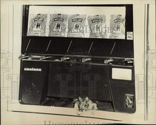 1960 Press Photo Squirrel
