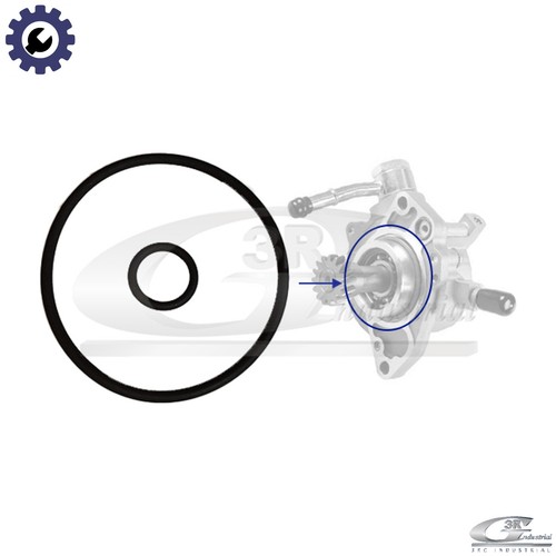 Seal set vacuum pump 74802 - vacuum,