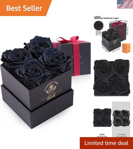 Black preserved rose - rose, in