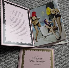 Y2K Vintage Agent Provocateur