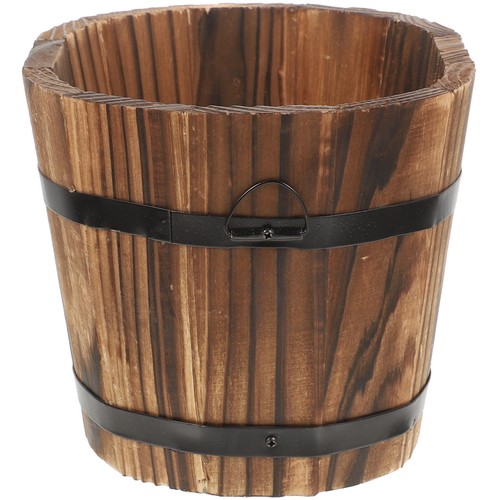 House plant pot - house, succulent