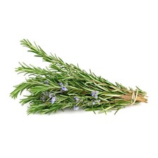 400 Rosemary Herb Seeds