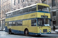 Bus Photo - Southend Transport