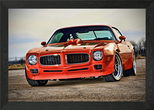 Orange pontiac trans muscle - pontiac,