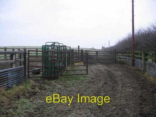 Photo 6x4 cattle crush - 6x4,