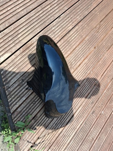 Kawasaki zzr600 mudguard front - kawasaki,