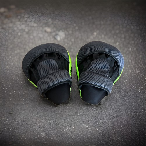Everlast focus mitt - focus,