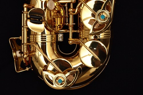 Brand new 2026 yanagisawa - new,