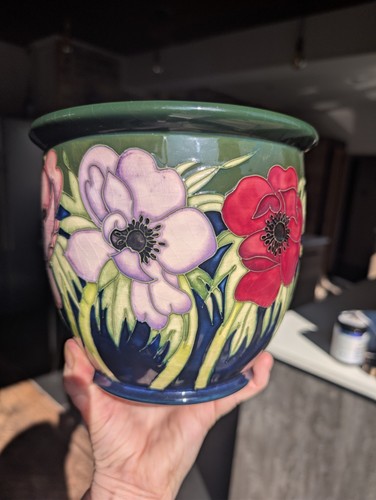 Rare moorcroft large anemone - moorcroft,
