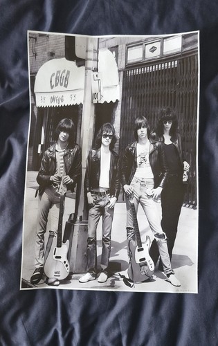 Unframed ramones vinyl - ramones,