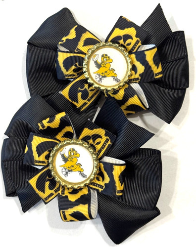 Beautiful iowa hawkeyes - iowa,