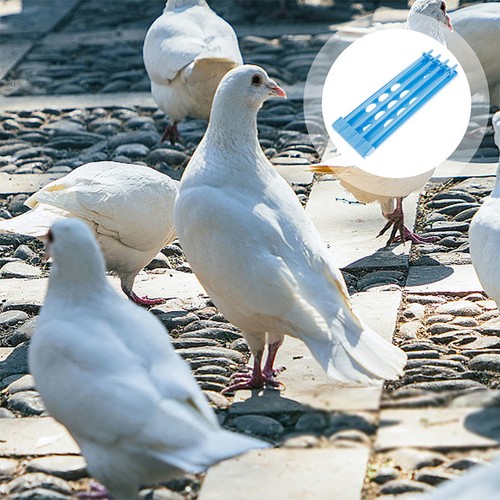 Pcs pigeon training basket - ,
