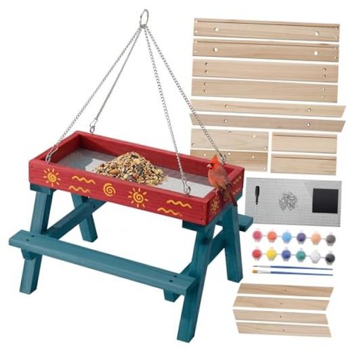 Diy bird feeder - bird,