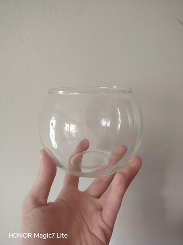 Glass bowl terrarium open - glass,