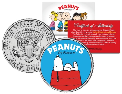 Peanuts snoopy dog house - snoopy, jfk