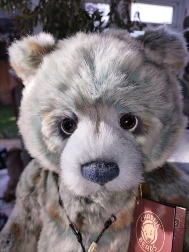 Charlie bears alicia - charlie,