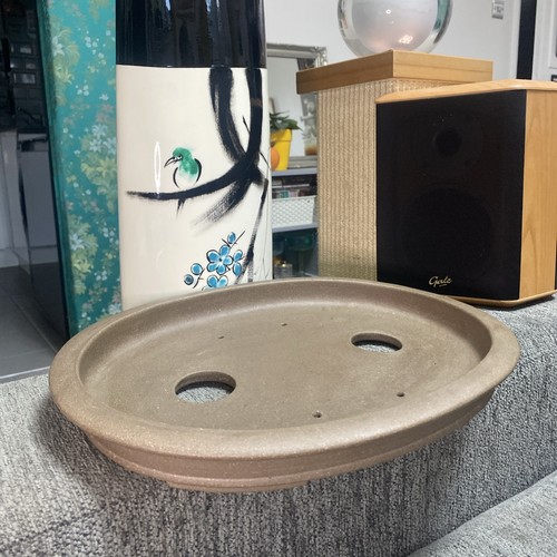 High quality bonsai - bonsai, oval