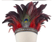 Red Mardi Gras Feather