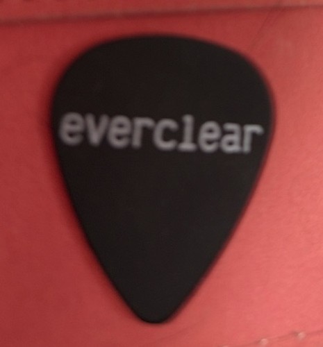 Everclear guitar pick - pick,