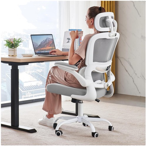 Professional home office - professional,