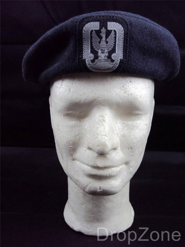 Poland polish air force - polish, beret
