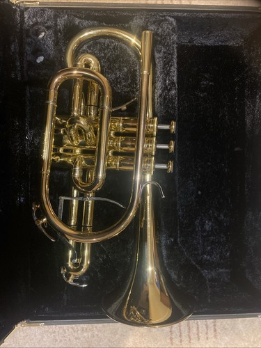 Yamaha neo cornet - yamaha, cornet.