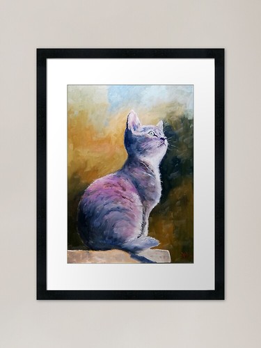 Russian blue cat framed - cat,