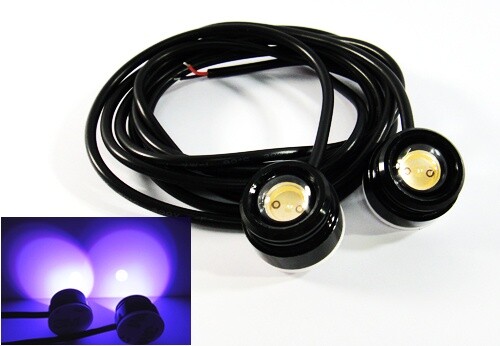High power led - eagle, eye