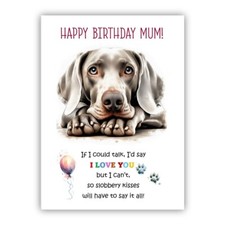 Birthday Card from the dog