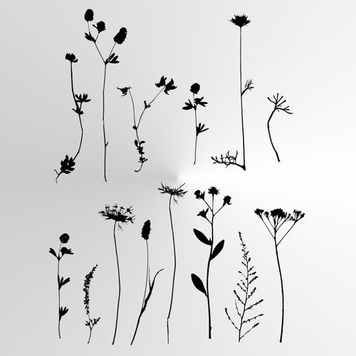 Botanical wild flowers set - botanical,
