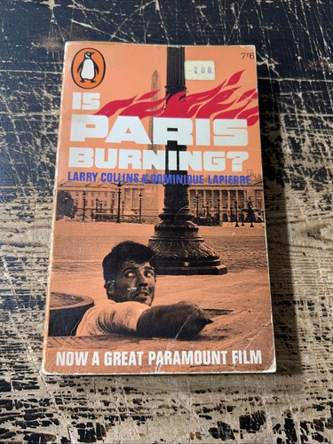 Paris burning by larry - by,
