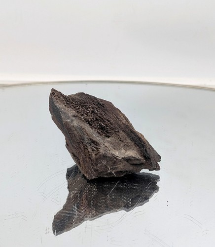 Fossil wood quartz crystal - fossil,