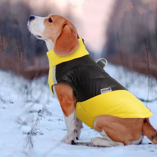 Dog winter vest with cotton - winter,