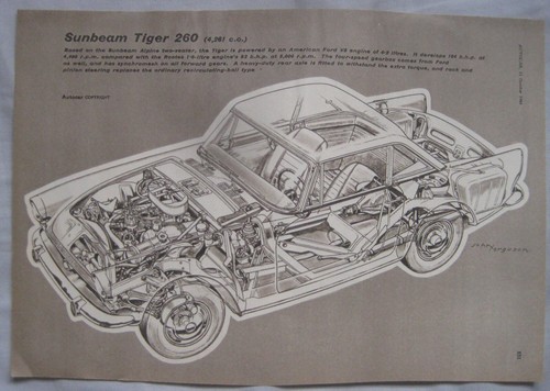 Sunbeam tiger 260 - sunbeam,
