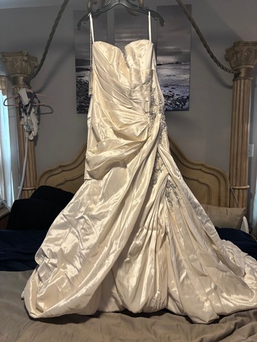 Sophia tolli maysilee - sophia,
