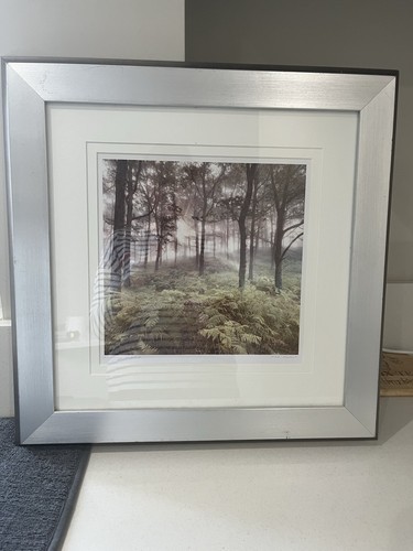 Mike shepherd print artist - print,