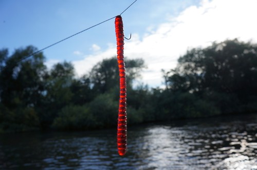 Worm lob lug soft plastic - soft,