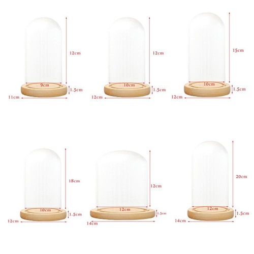 Glass display dome wooden base - wooden,