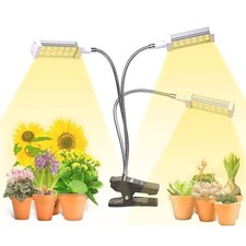 Grow Lights for Indoor Plants