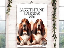 Basset Hound Calendar 2026-Dog