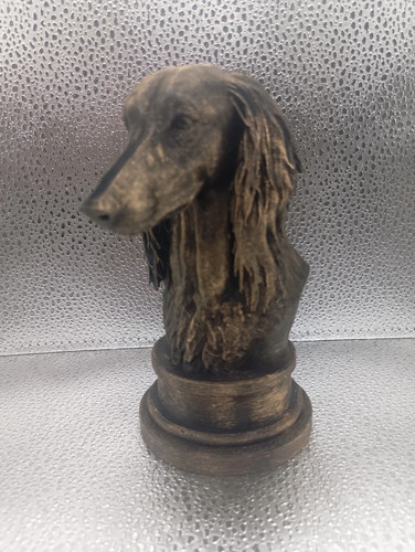 Saluki bust - saluki,